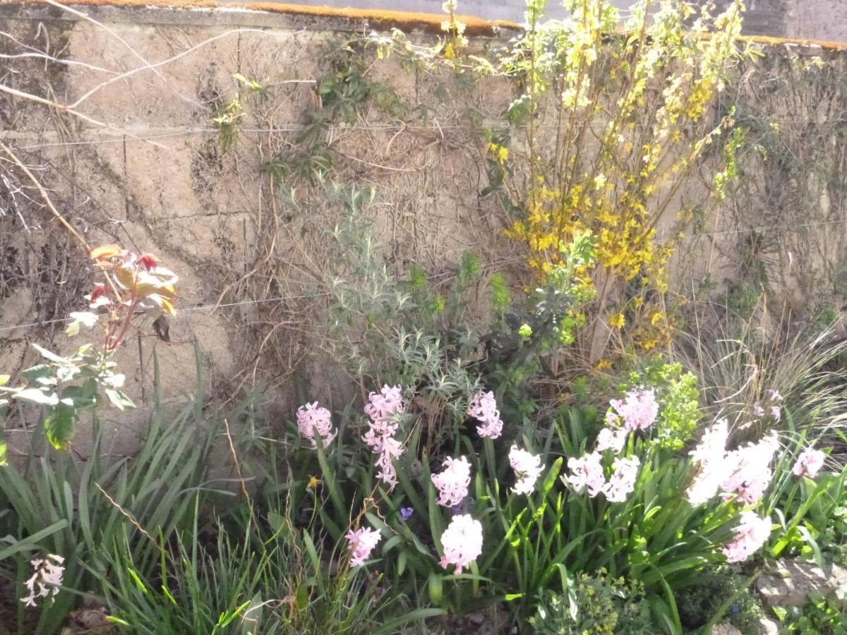 La Maison Des Fleurs Montembœuf Exteriör bild
